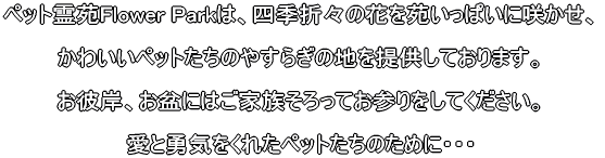 ありがとう
